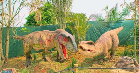 Vale dos Dinossauros em Olímpia SP - Venha viver essa aventura jurássica