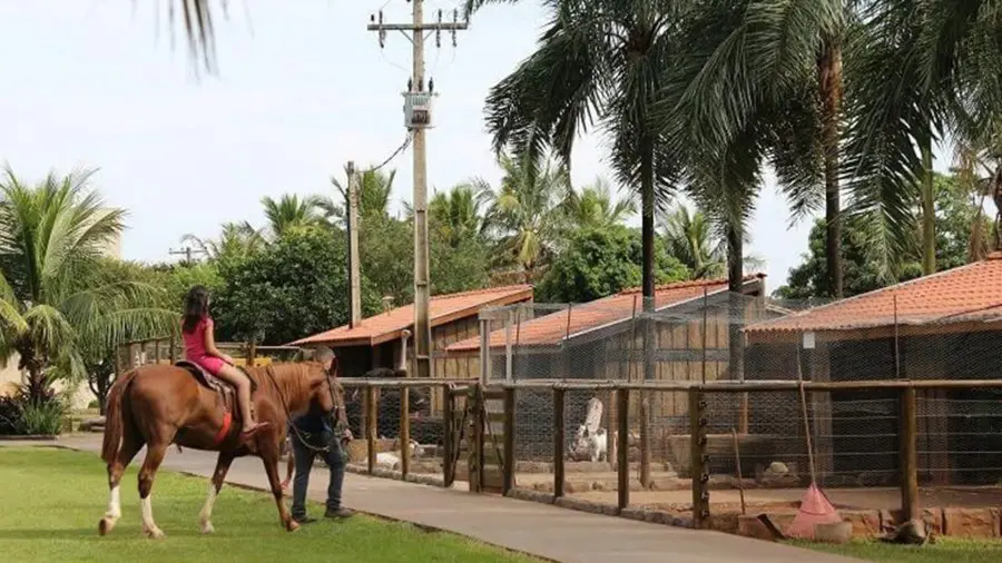 Hospedagem Carpe Diem Park Hotel em Olímpia SP
