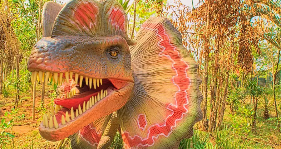 Vale dos Dinossauros em Olímpia SP - Venha viver essa aventura jurássica